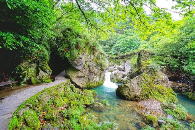 大连种植牙哪个医院好,种植牙医院技术水平怎么判断